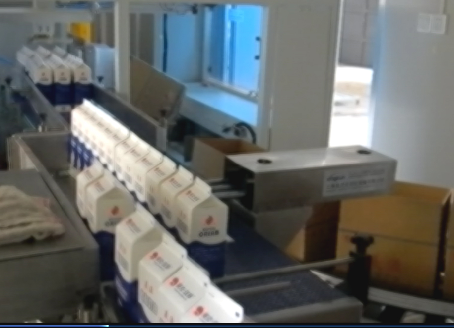 側(cè)推式裝箱機(jī)