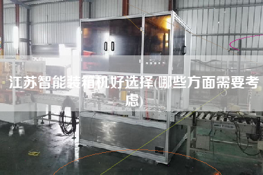 江蘇智能裝箱機好選擇(哪些方面需要考慮)
