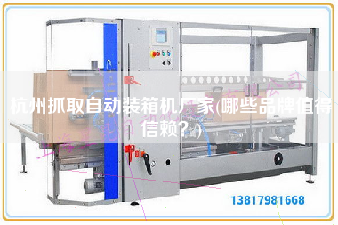 杭州抓取自動(dòng)裝箱機(jī)廠家(哪些品牌值得信賴(lài)？)