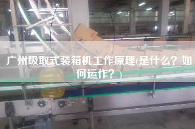 廣州吸取式裝箱機工作原理(是什么？如何運作？)