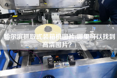 哈爾濱抓取式裝箱機圖片(哪里可以找到高清圖片？)