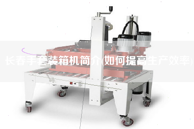 長春手套裝箱機簡介(如何提高生產(chǎn)效率)