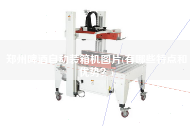 鄭州啤酒自動(dòng)裝箱機(jī)圖片(有哪些特點(diǎn)和優(yōu)勢？)