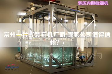 常州一片式裝箱機(jī)廠商(哪家公司值得信賴？)