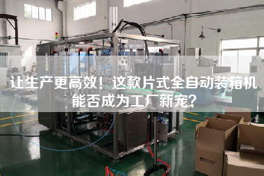 讓生產(chǎn)z高效！這款片式全自動裝箱機能否成為工廠新寵？