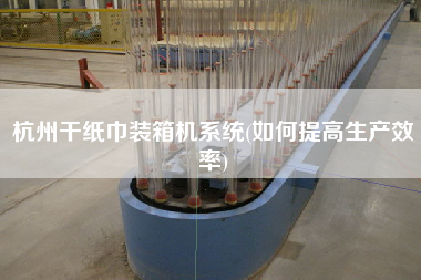 杭州干紙巾裝箱機(jī)系統(tǒng)(如何提高生產(chǎn)效率)