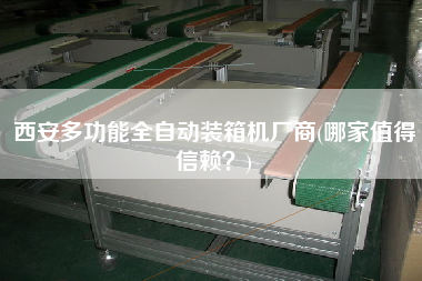 西安多功能全自動裝箱機廠商(哪家值得信賴？)