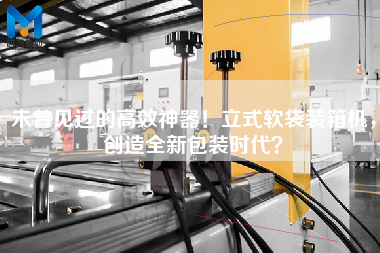 未曾見過的高效神器！立式軟袋裝箱機，創(chuàng)造全新包裝時代？