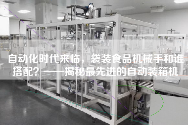 自動化時代來臨，袋裝食品機械手和誰搭配？——揭秘z先進的自動裝箱機