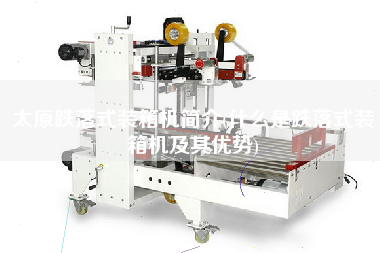 太原跌落式裝箱機(jī)簡(jiǎn)介(什么是跌落式裝箱機(jī)及其優(yōu)勢(shì))