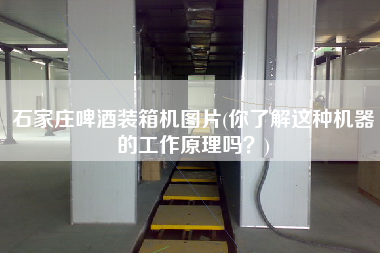 石家莊啤酒裝箱機(jī)圖片(你了解這種機(jī)器的工作原理嗎？)