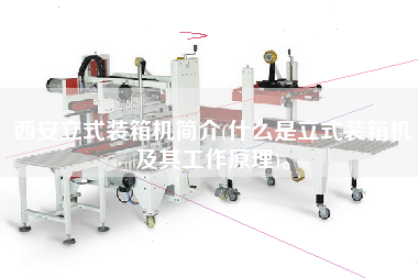 西安立式裝箱機(jī)簡介(什么是立式裝箱機(jī)及其工作原理)。