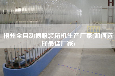 梧州全自動(dòng)伺服裝箱機(jī)生產(chǎn)廠家(如何選擇z佳廠家)