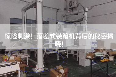 驚險刺激！落差式裝箱機背后的秘密揭曉！