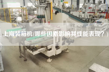 上海裝箱機(jī)(哪些因素影響其性能表現(xiàn)？)
