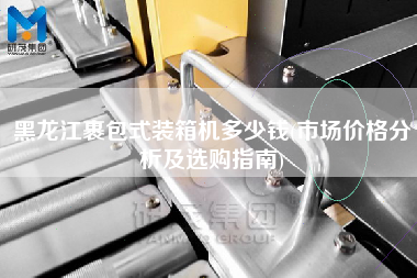 黑龍江裹包式裝箱機(jī)多少錢(qián)(市場(chǎng)價(jià)格分析及選購(gòu)指南)