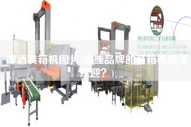啤酒裝箱機圖片(哪些品牌的裝箱機z受歡迎？)
