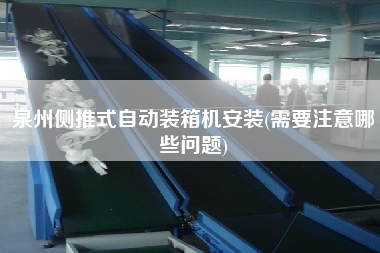泉州側(cè)推式自動(dòng)裝箱機(jī)安裝(需要注意哪些問(wèn)題) 泉州側(cè)推式自動(dòng)裝箱機(jī)安裝(需要注意哪些問(wèn)題)