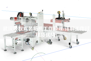 武漢吸取式裝箱機(jī)工作原理(詳解工作過程及優(yōu)勢) 武漢吸取式裝箱機(jī)工作原理(詳解工作過程及優(yōu)勢)