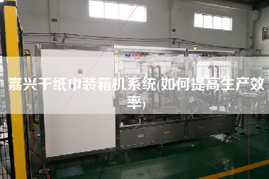 嘉興干紙巾裝箱機系統(tǒng)(如何提高生產(chǎn)效率)