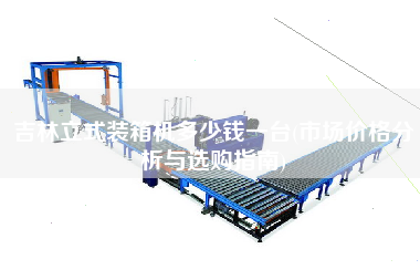 吉林立式裝箱機多少錢一臺(市場價格分析與選購指南)