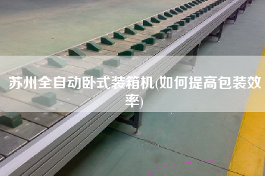 蘇州全自動臥式裝箱機(jī)(如何提高包裝效率)