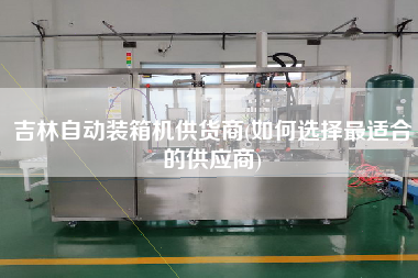 吉林自動裝箱機供貨商(如何選擇z適合的供應商) 吉林自動裝箱機供貨商(如何選擇z適合的供應商)