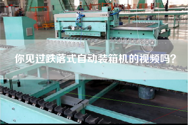 你見過跌落式自動(dòng)裝箱機(jī)的視頻嗎？