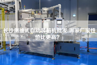 長沙側(cè)推式自動裝箱機(jī)批發(fā)(哪家廠家性價比z高？)