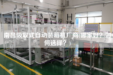 南昌吸取式自動裝箱機廠商(哪家好？如何選擇？)