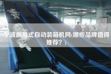 寧波側(cè)推式自動裝箱機(jī)網(wǎng)(哪些品牌值得推薦？)