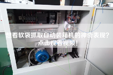 想看軟袋抓取自動裝箱機的神奇表現(xiàn)？點擊觀看視頻！