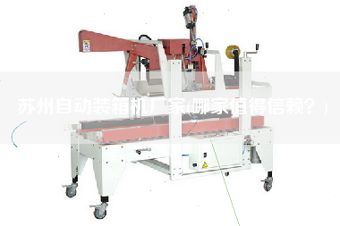 蘇州自動裝箱機廠家(哪家值得信賴？)