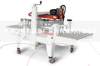 蘇州裝箱機(jī)設(shè)備廠家為何成為行業(yè)**者？