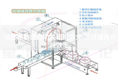 成都抓取式自動裝箱機簡介(如何提高包裝效率)