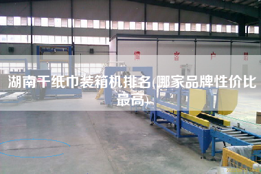 湖南干紙巾裝箱機(jī)排名(哪家品牌性價(jià)比z高)