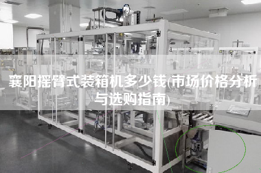 襄陽搖臂式裝箱機多少錢(市場價格分析與選購指南)