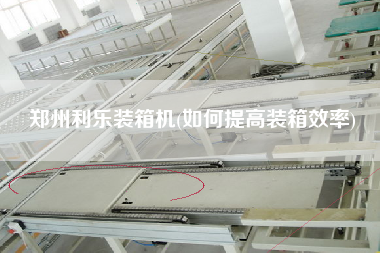 鄭州利樂(lè)裝箱機(jī)(如何提高裝箱效率)