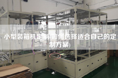 小型裝箱機定制(如何選擇適合自己的定制方案)
