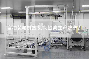 自動(dòng)裝箱機(jī)器(如何提高生產(chǎn)效率？)
