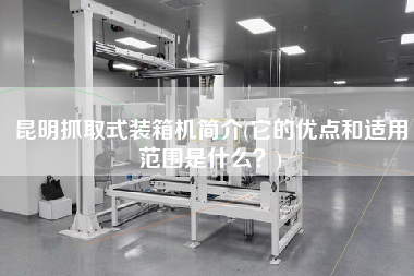 昆明抓取式裝箱機簡介(它的優(yōu)點和適用范圍是什么？)
