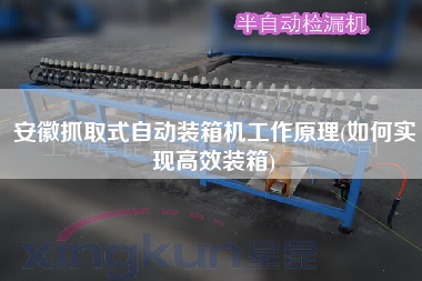 安徽抓取式自動裝箱機工作原理(如何實現(xiàn)高效裝箱)