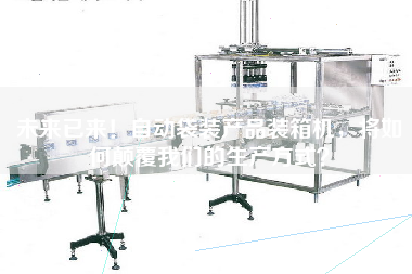 未來已來！自動袋裝產(chǎn)品裝箱機(jī)，將如何顛覆我們的生產(chǎn)方式？