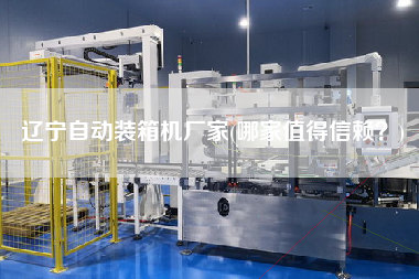 遼寧自動(dòng)裝箱機(jī)廠(chǎng)家(哪家值得信賴(lài)？)