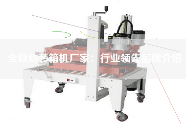 全自動裝箱機廠家：行業(yè)**品牌介紹