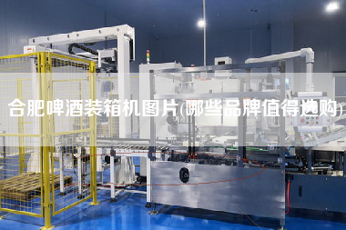 合肥啤酒裝箱機(jī)圖片(哪些品牌值得選購)