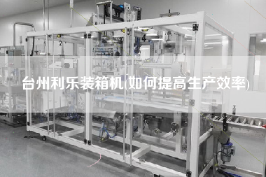 臺州利樂裝箱機(如何提高生產(chǎn)效率)