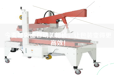 今麥郎袋面自動(dòng)裝箱機(jī)，讓包裝變得z高效！