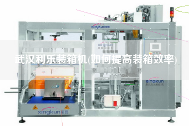 武漢利樂裝箱機(如何提高裝箱效率)