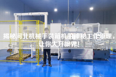 揭秘河北機(jī)械手裝箱機(jī)的神秘工作原理，讓你大開眼界！